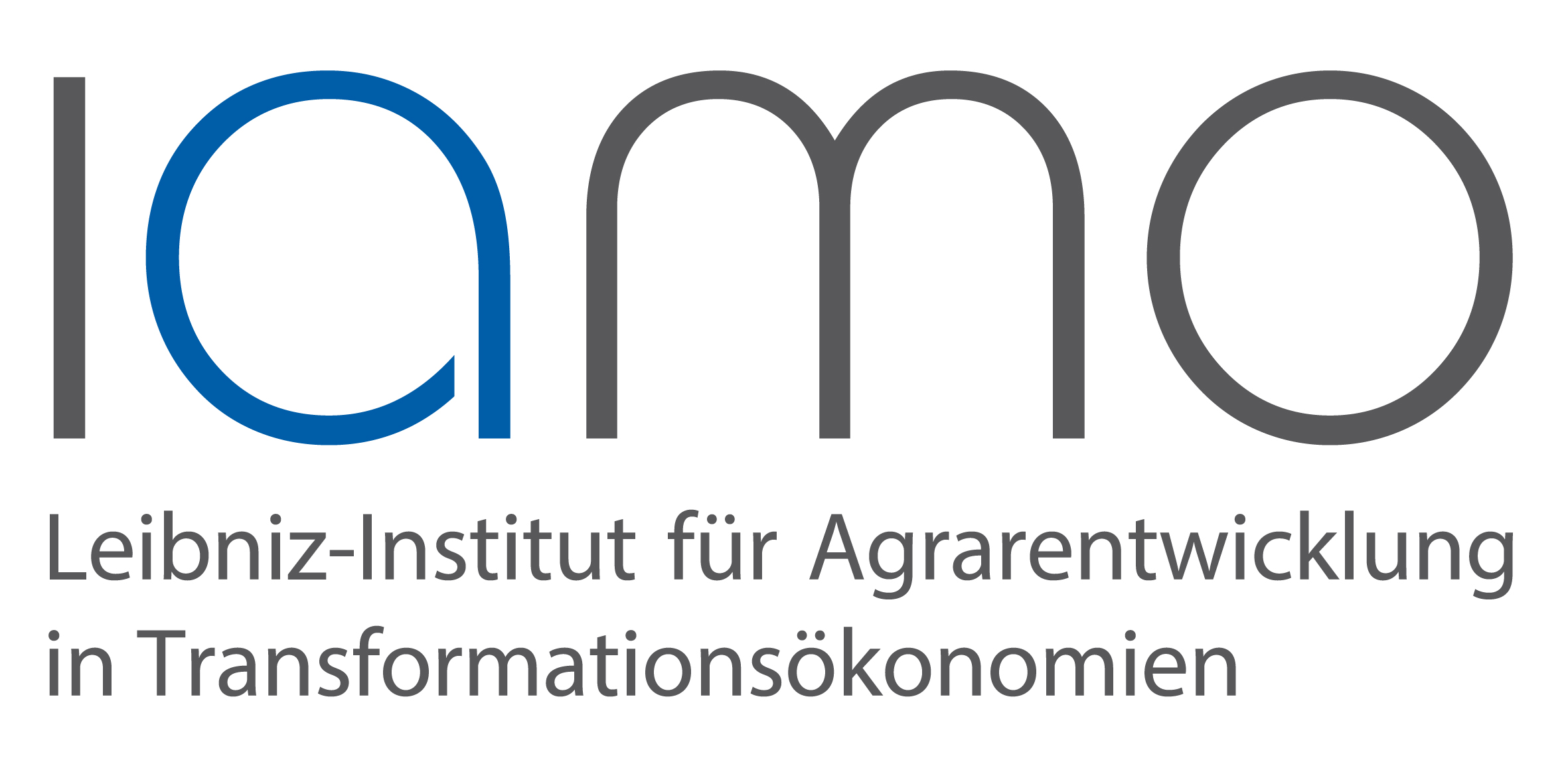 Logo IAMO